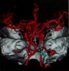 医療法人信和会 和田病院