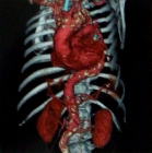 医療法人信和会 和田病院