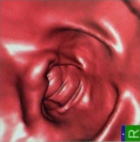 医療法人信和会 和田病院