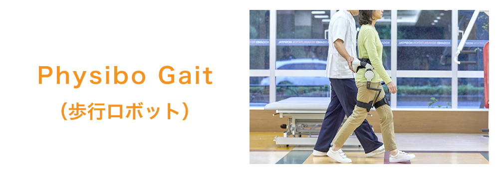 Physibo Gait